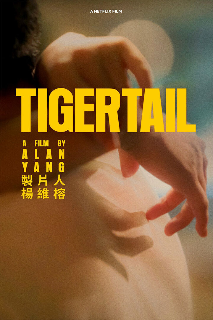 Tigertail 2020 Tv Movie Adventure Dram Poster Wall Art Print Home Wall Decor - xonomax