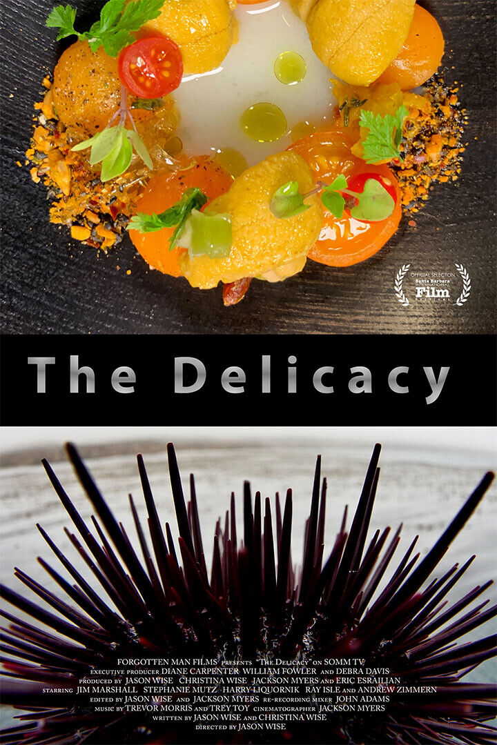 The Delicacy Movie 2020 Documentary Poster Wall Art Print Home Wall Decor