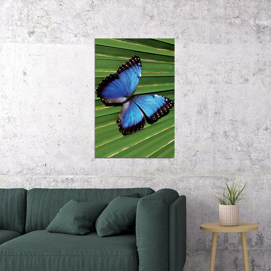 Blue Common Morpho Butterfly On Fern Frond Poster Wall Art Print Home Wall Decor - xonomax