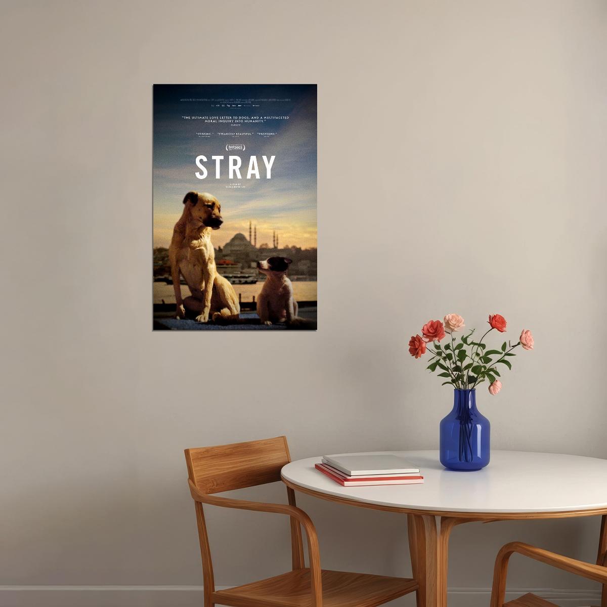 Stray Movie 2021 Documentary Animals Life Poster Wall Art Print Home Wall Decor