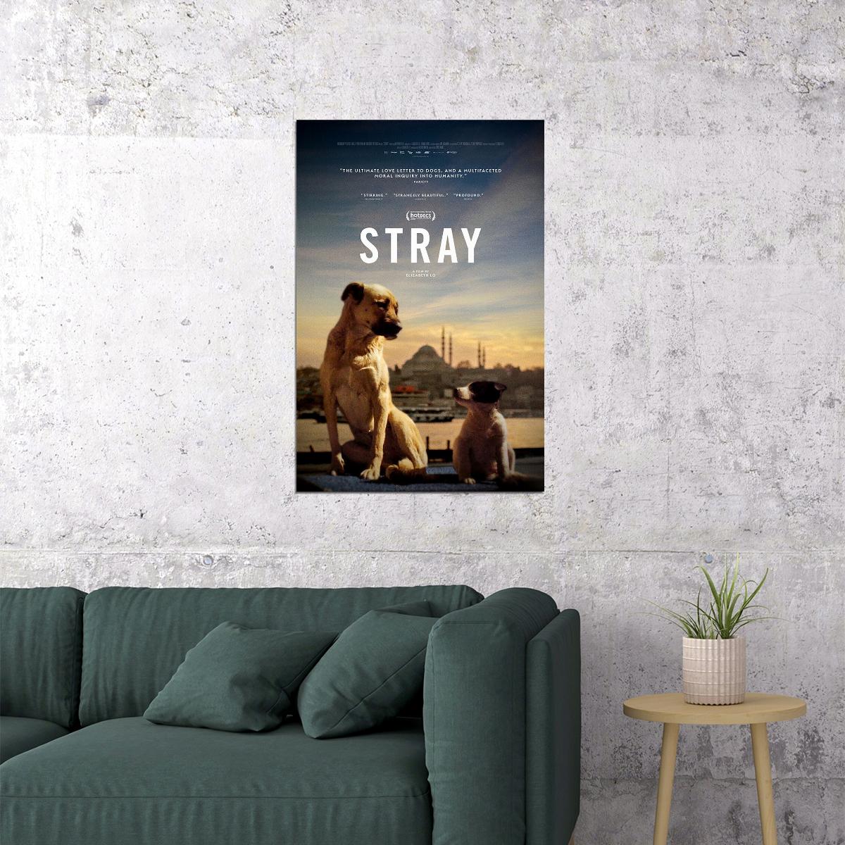 Stray Movie 2021 Documentary Animals Life Poster Wall Art Print Home Wall Decor