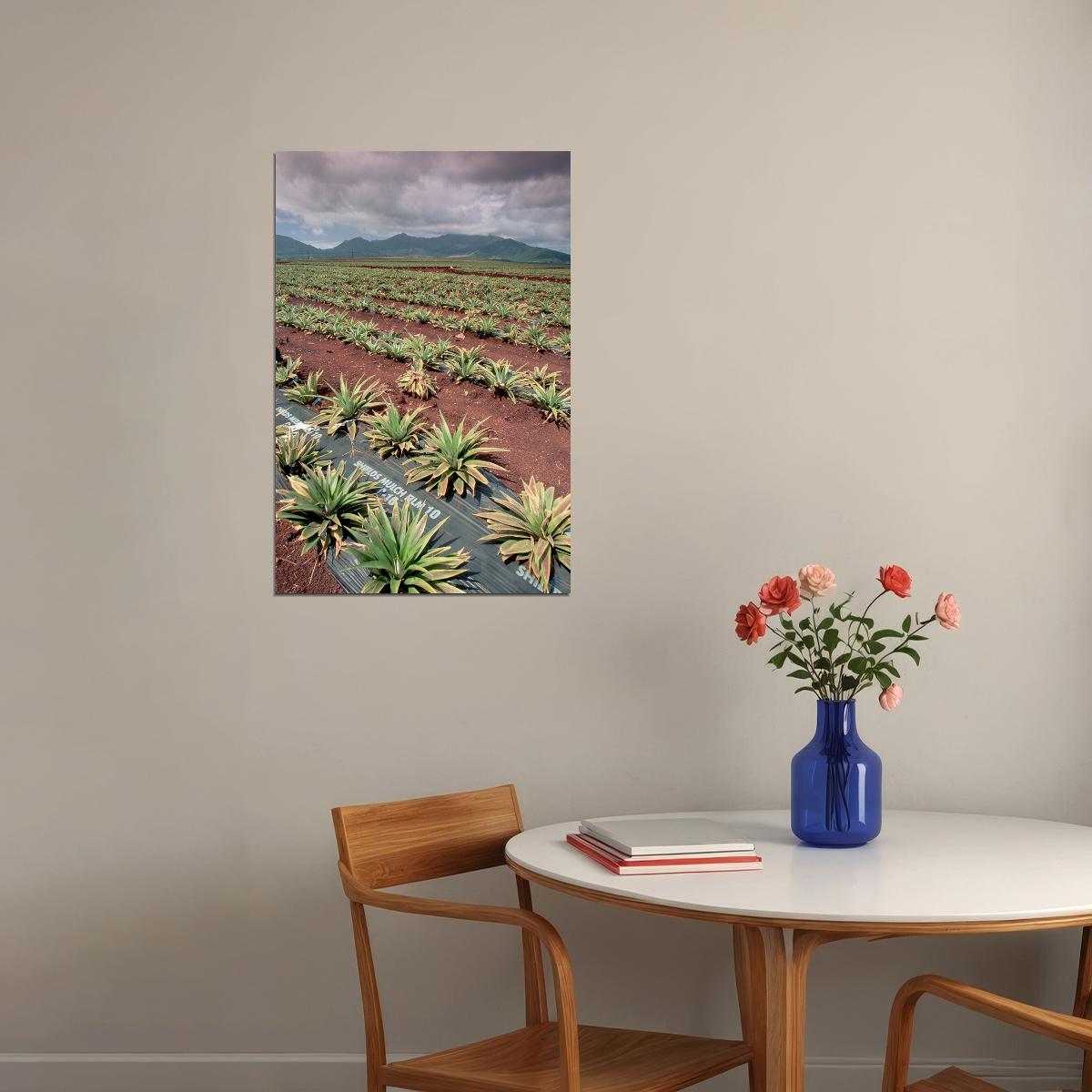 Dole Pineapple Plantation Tropical Fruits Poster Wall Art Print Home Wall Decor - xonomax