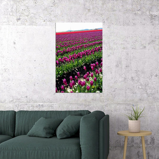 Army Tulip Field And Mount Hood Landscape Poster Wall Art Print Home Wall Decor - xonomax