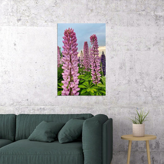 Lupine Leaf Cluster Garden Nature Poster Wall Art Print Home Wall Decor - xonomax