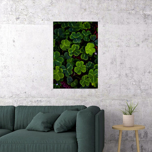 Clover Colorful Flowering Plant Poster Wall Art Print Home Wall Decor - xonomax