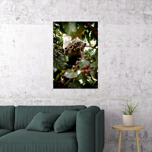 Puerto Rican Coffee Plantation Tropical Poster Wall Art Print Home Wall Decor - xonomax