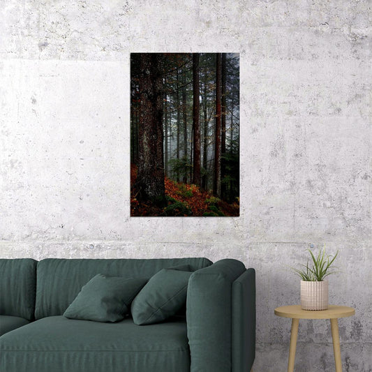 The Black Forest In Germany Nature Poster Wall Art Print Home Wall Decor - xonomax
