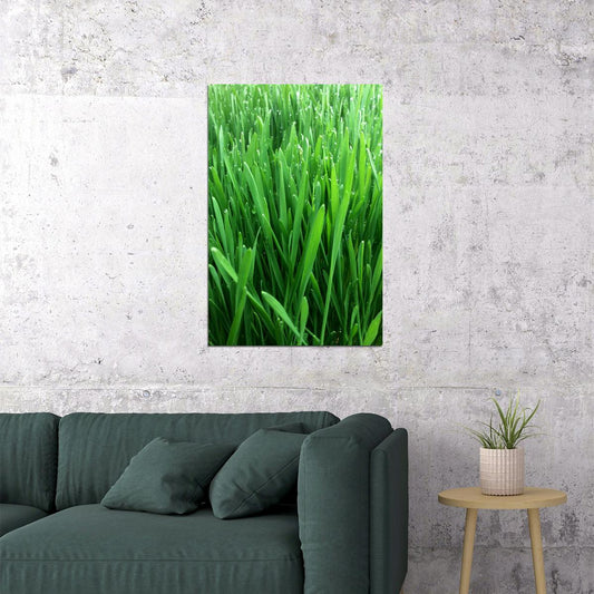 Growing Wheatgrass On Fresh Foliage Poster Wall Art Print Home Wall Decor - xonomax
