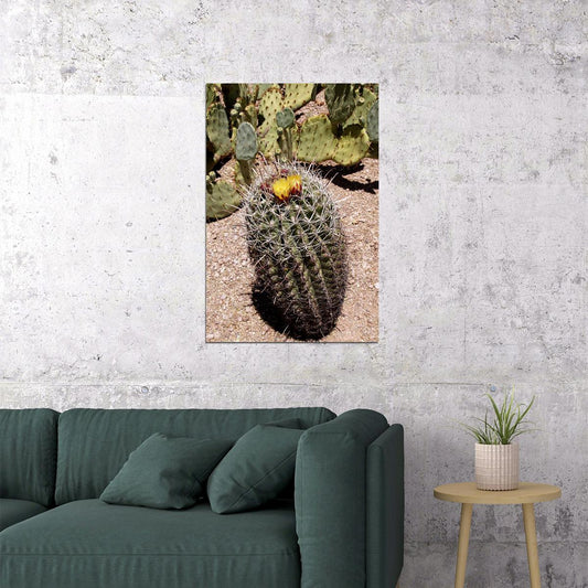 Saguaro And Prickly Pear Cacti Poster Wall Art Print Home Wall Decor - xonomax