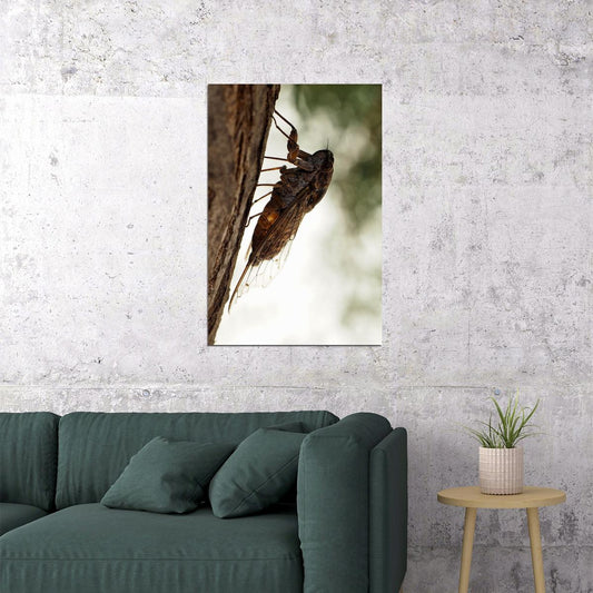 Cicada Loud Flying Vermin Animals Nature Poster Wall Art Print Home Wall Decor - xonomax