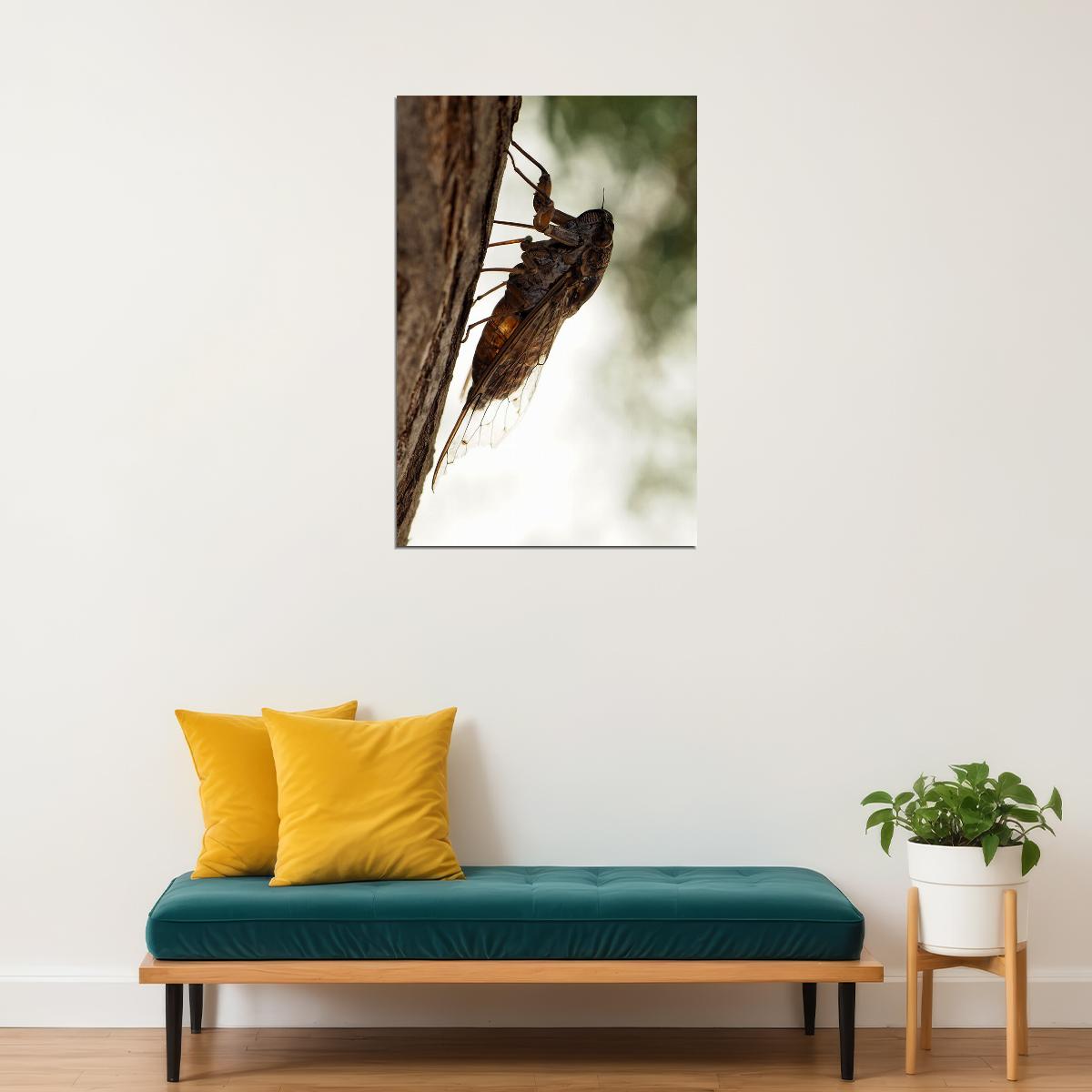 Cicada Loud Flying Vermin Animals Nature Poster Wall Art Print Home Wall Decor - xonomax