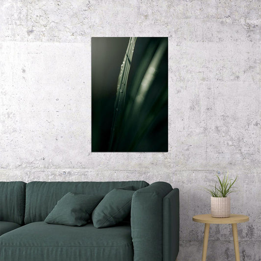 Raindrops Hanging From Blade Of Grass Poster Wall Art Print Home Wall Decor - xonomax