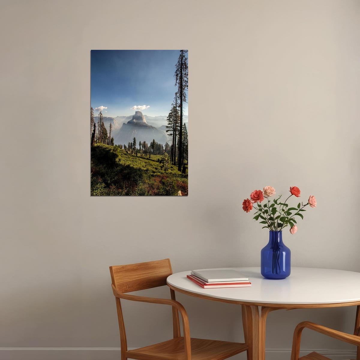 Pine Forest In Yosemite National Park Poster Wall Art Print Home Wall Decor - xonomax