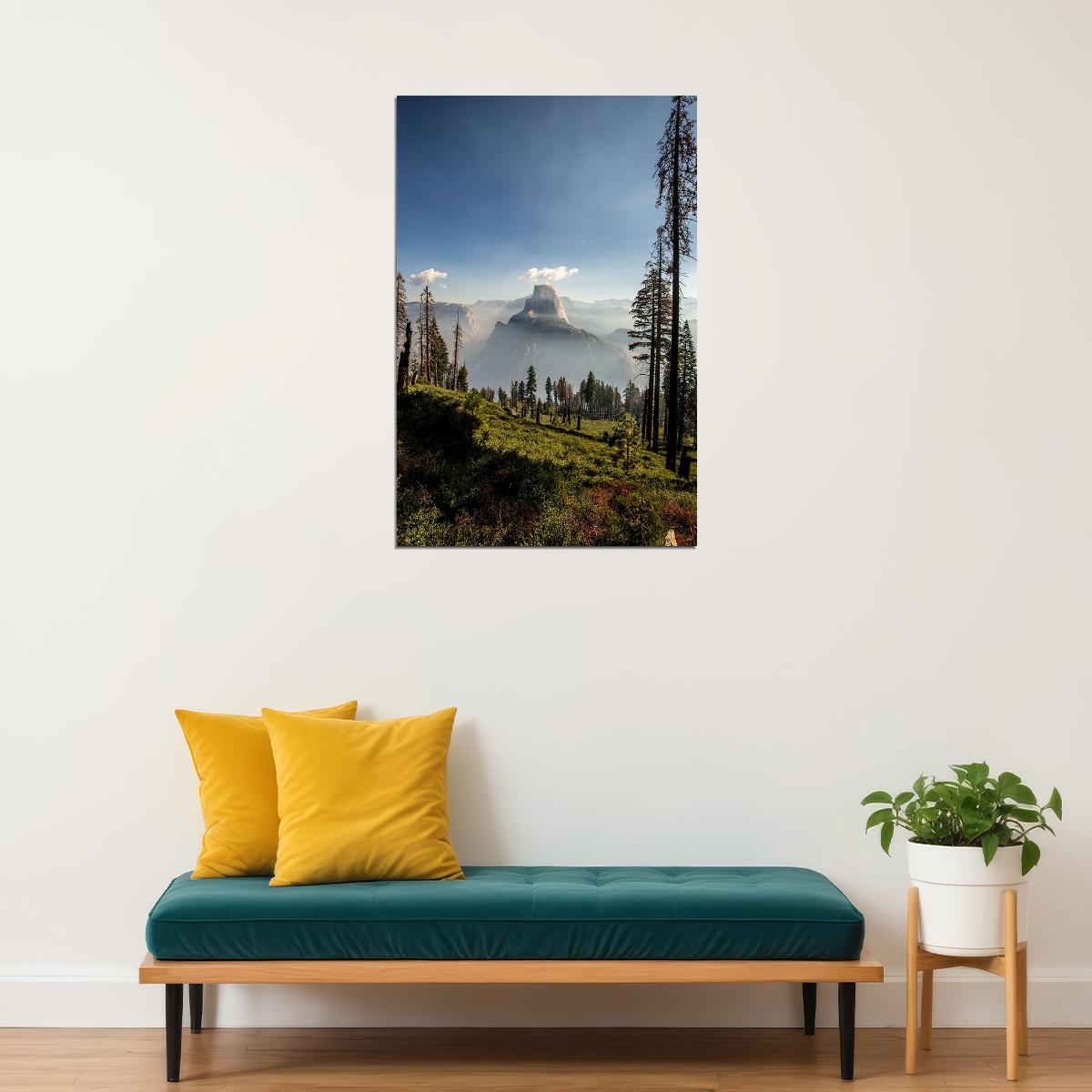 Pine Forest In Yosemite National Park Poster Wall Art Print Home Wall Decor - xonomax