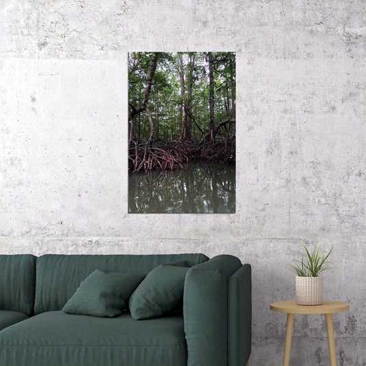 Red Mangrove Swamp Florida Nature Poster Wall Art Print Home Wall Decor - xonomax