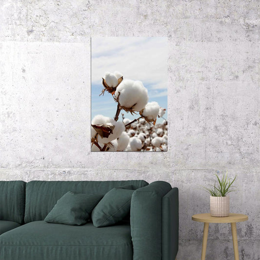 Cotton Plant Tropical Plants Nature Poster Wall Art Print Home Wall Decor - xonomax