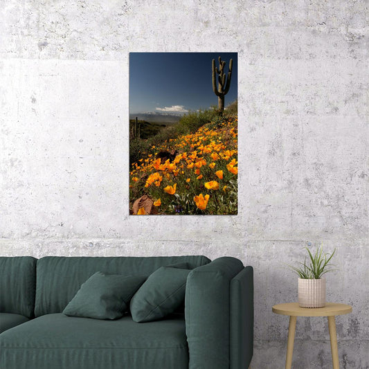 California Poppies Bloom Field Near Ocean Poster Wall Art Print Home Wall Decor - xonomax