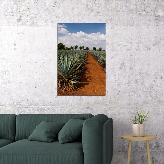 Tequila Agave Fields Landscape Nature Poster Wall Art Print Home Wall Decor - xonomax
