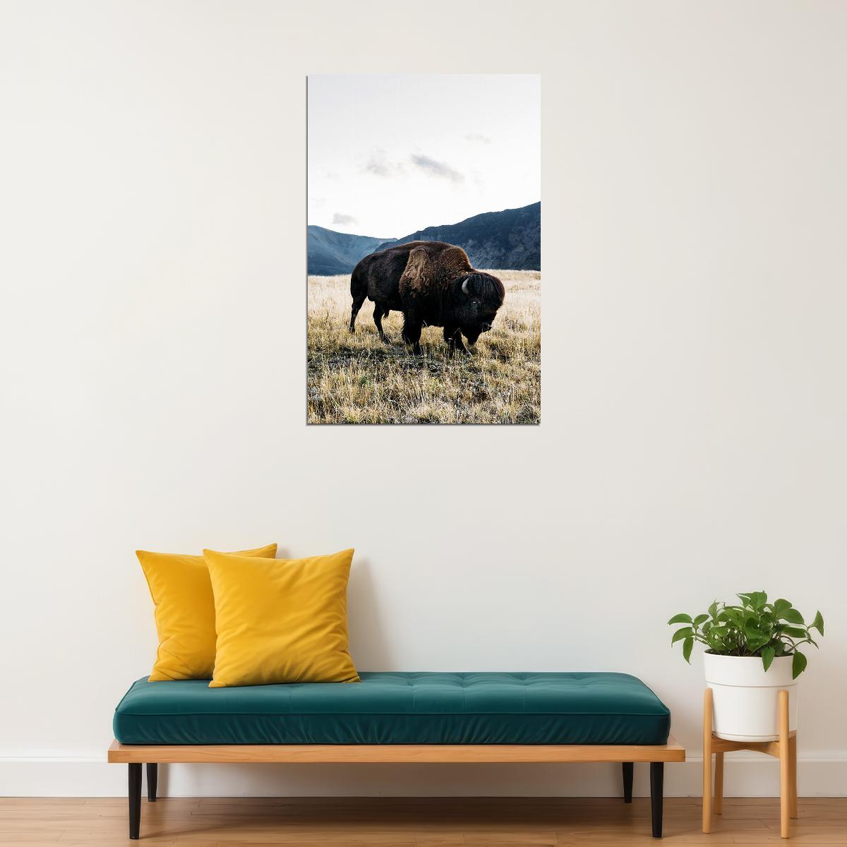 Bison Grazing On Green Hills Animals Poster Wall Art Print Home Wall Decor - xonomax