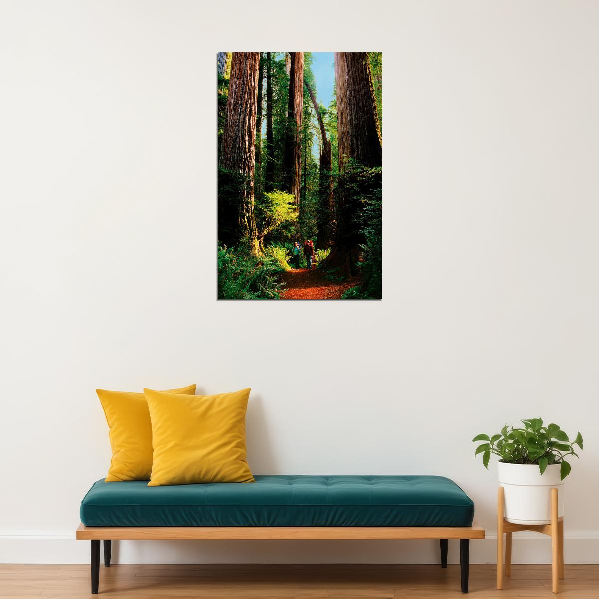 Detail Of Redwood Bark Forest Landscape Poster Wall Art Print Home Wall Decor - xonomax