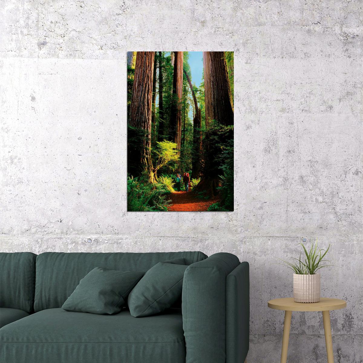 Detail Of Redwood Bark Forest Landscape Poster Wall Art Print Home Wall Decor - xonomax