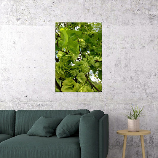 Flowers And Buds Of Wych Elm Green Leaves Poster Wall Art Print Home Wall Decor - xonomax
