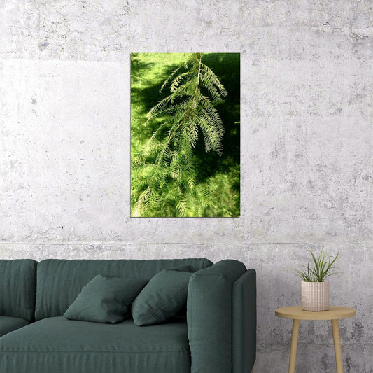 Bald Cypresses On Lake Waccamaw Landscape Poster Wall Art Print Home Wall Decor - xonomax