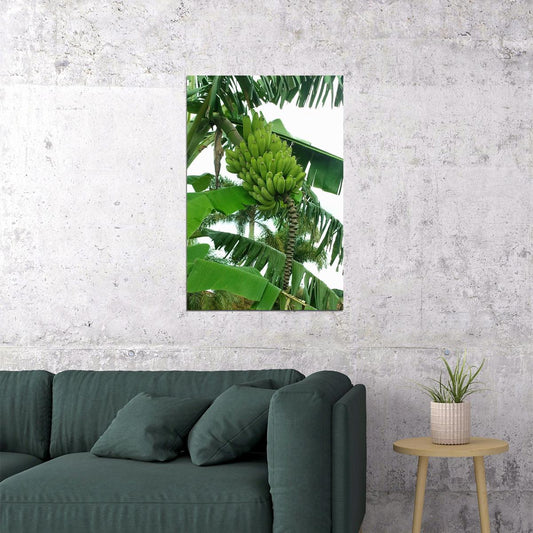 Banana Plants Colombia Sweet Fruit Picture Poster Wall Art Print Home Wall Decor - xonomax