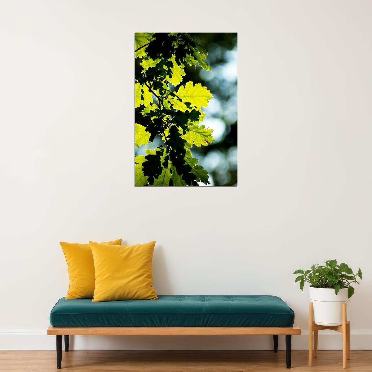 Oak Tree Leaves Changing Color Picture Poster Wall Art Print Home Wall Decor - xonomax