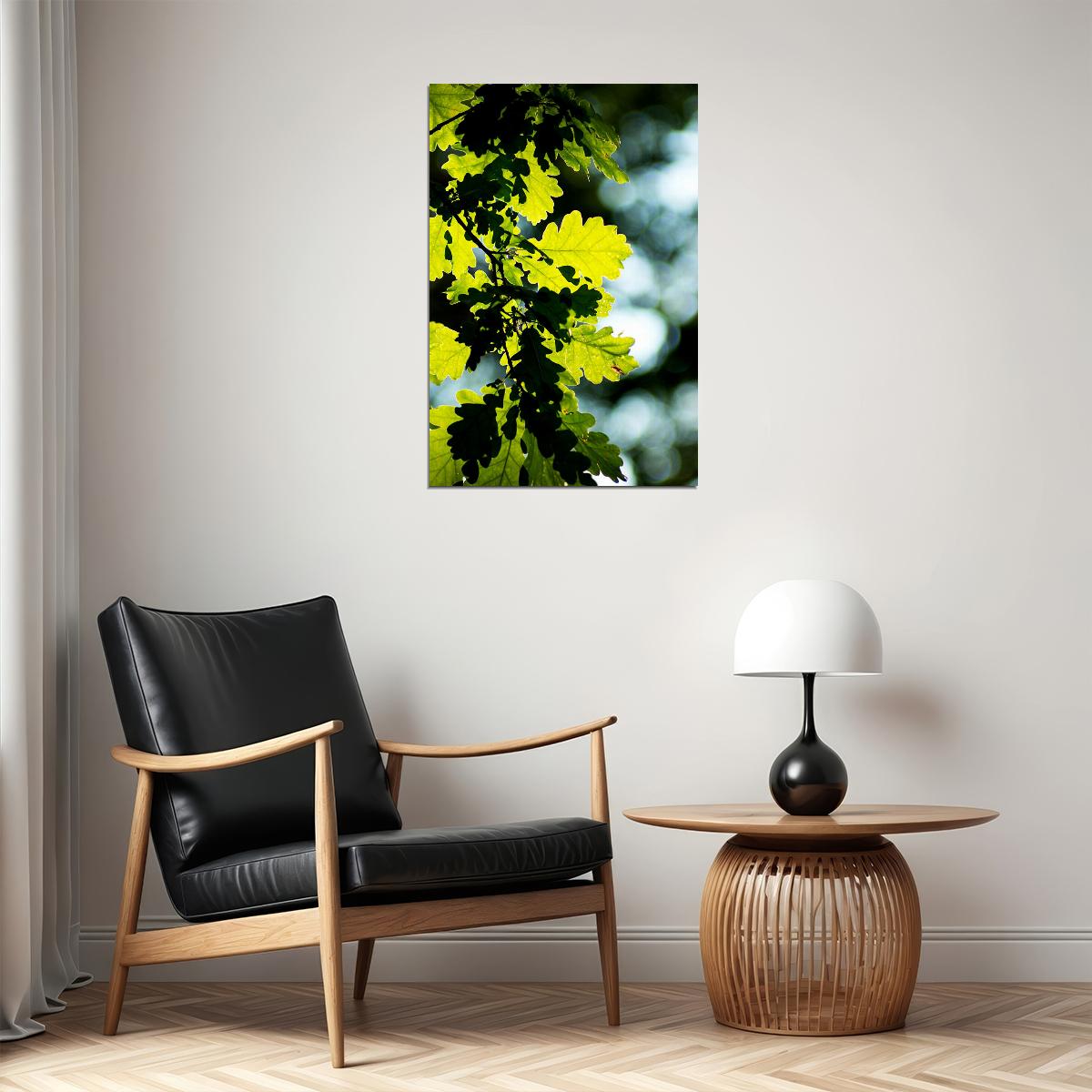 Oak Tree Leaves Changing Color Picture Poster Wall Art Print Home Wall Decor - xonomax