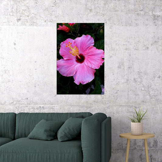 Hibiscus Flower Scented Plants Poster Wall Art Print Home Wall Decor - xonomax