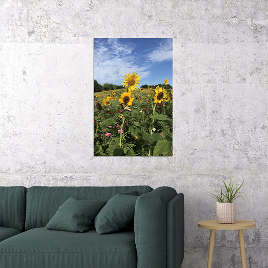 Sunflower Field Landscape Photograph Poster Wall Art Print Home Wall Decor - xonomax