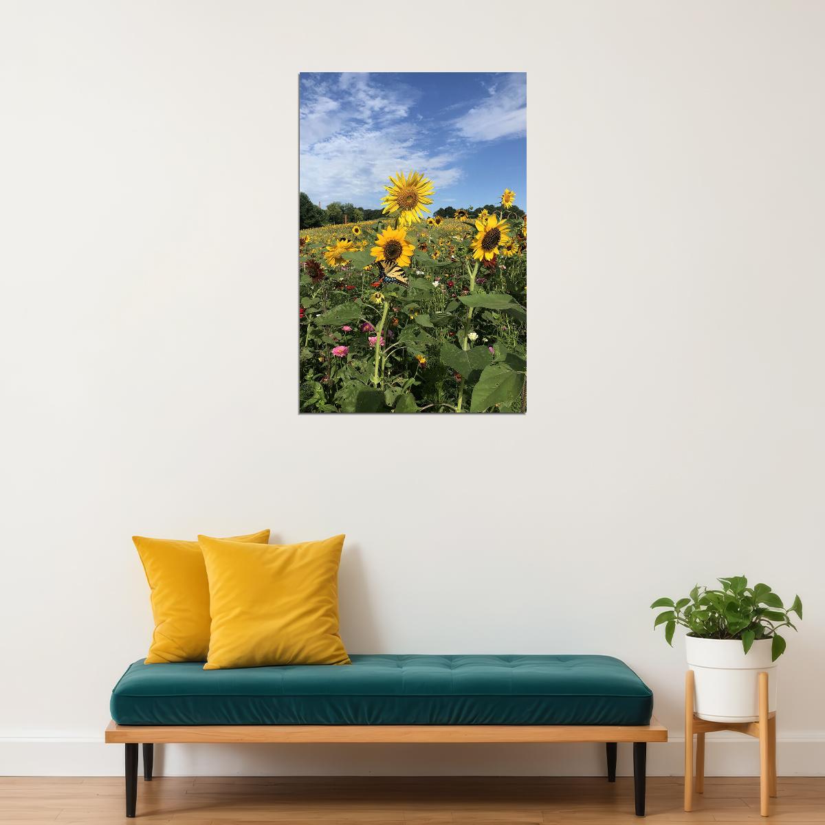 Sunflower Field Landscape Photograph Poster Wall Art Print Home Wall Decor - xonomax
