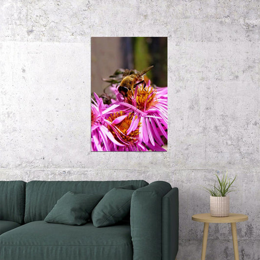 Bee Gathers Nectar From Pink Flower Poster Wall Art Print Home Wall Decor - xonomax