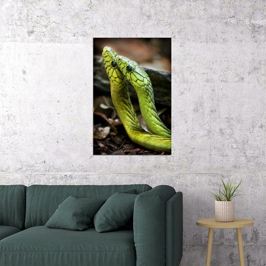 Animals Snakes Reptiles Nature Poster Wall Art Print Home Wall Decor - xonomax