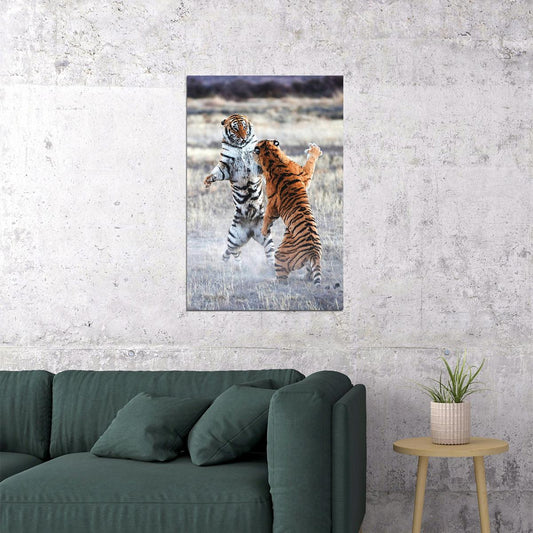 Animal Clash Of The Tigers Nature Forest Poster Wall Art Print Home Wall Decor - xonomax