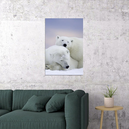 Polar Bears In The Snow Animals Polar Love Poster Wall Art Print Home Wall Decor