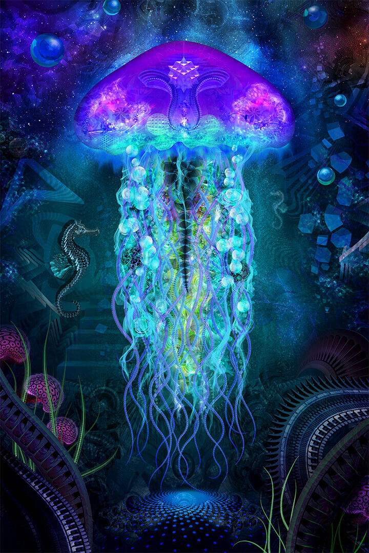 Pyschedelıc Undersea Jellyfish Colorful Poster Wall Art Print Home Wall Decor