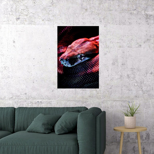 Snake Psychedelic Cobra Animal Reptile Poster Wall Art Print Home Wall Decor
