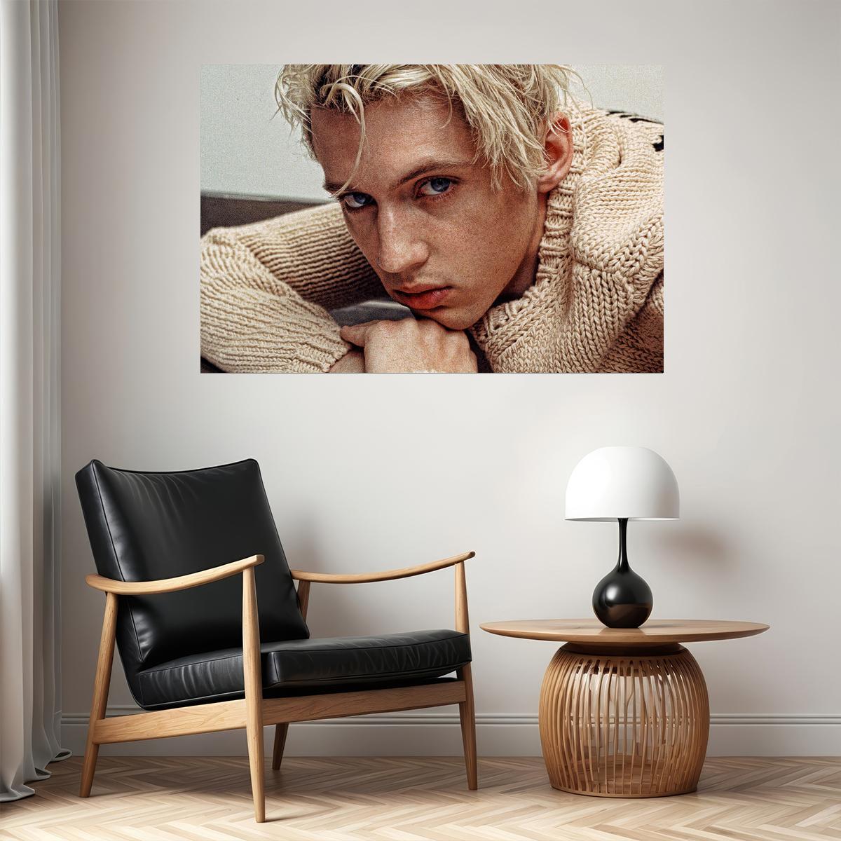 Troye Sivan Celebrity Cinema Actor Musician Poster Wall Art Print Home Wall Decor