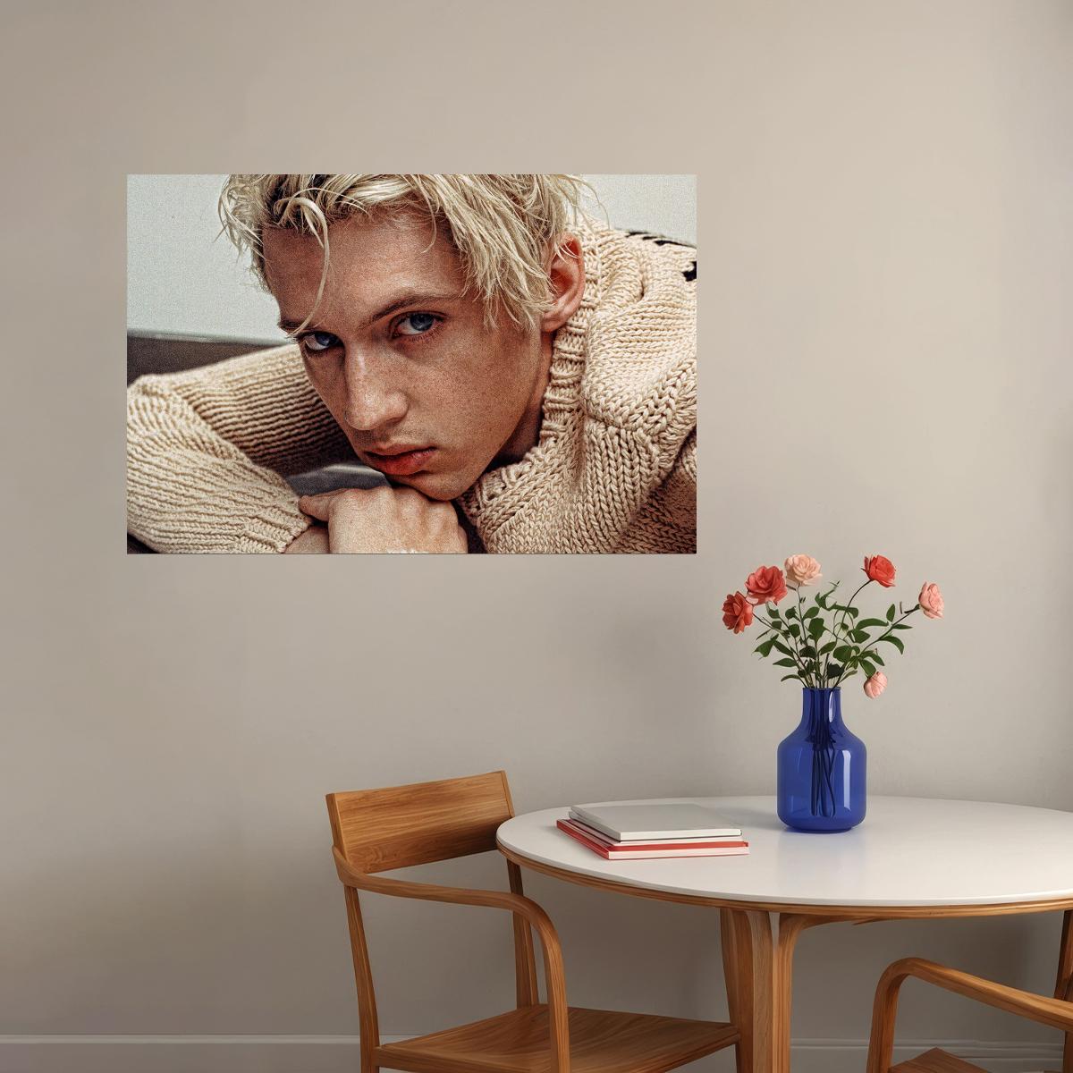 Troye Sivan Celebrity Cinema Actor Musician Poster Wall Art Print Home Wall Decor