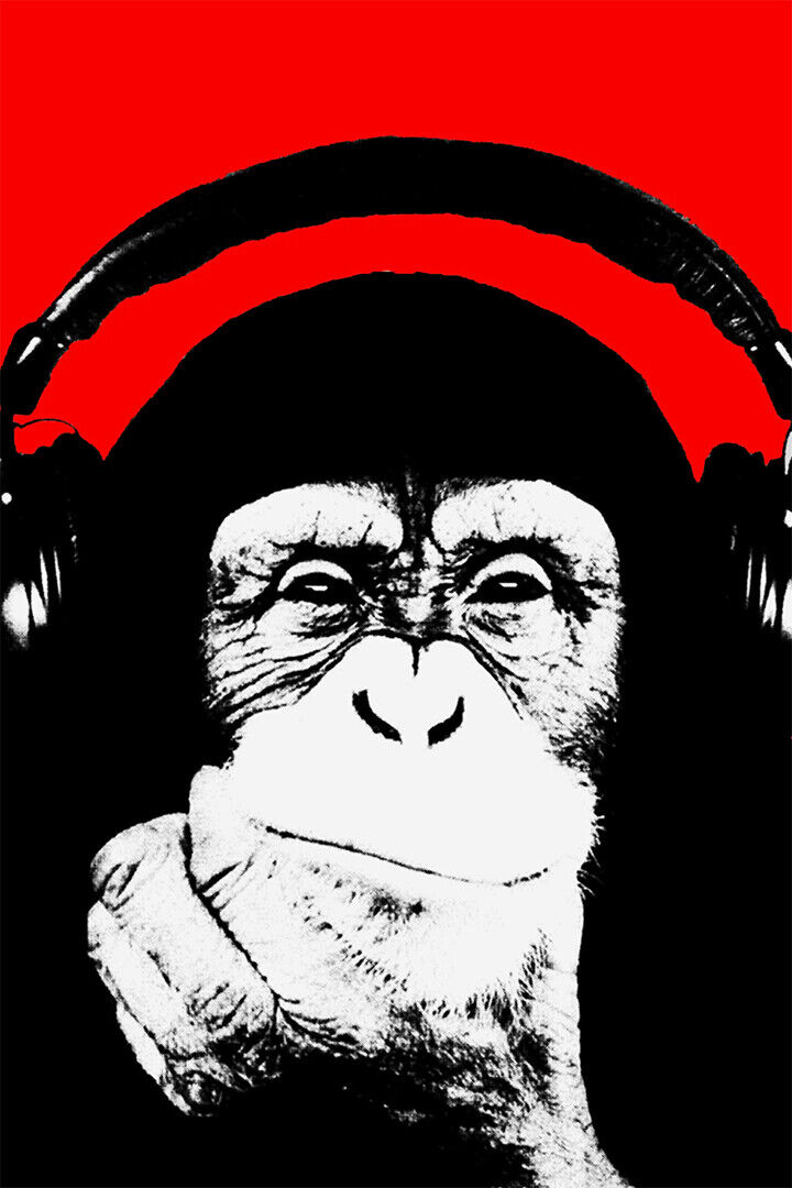 Dj Monkey Chimpanzee Figure Picture Animal Poster Wall Art Print Home Wall Decor