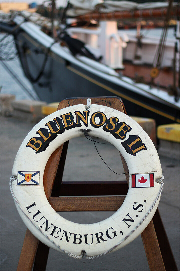 Life Preserver Attached To Ship's Railing Poster Wall Art Print Home Wall Decor