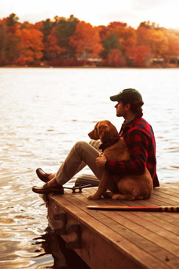 Person Watching The Landscape And Dog Poster Wall Art Print Home Wall Decor