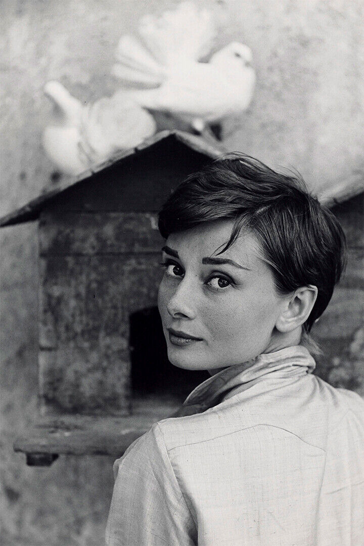 Hepburn Audrey Actress Charitable Poster Wall Art Print Home Wall Decor