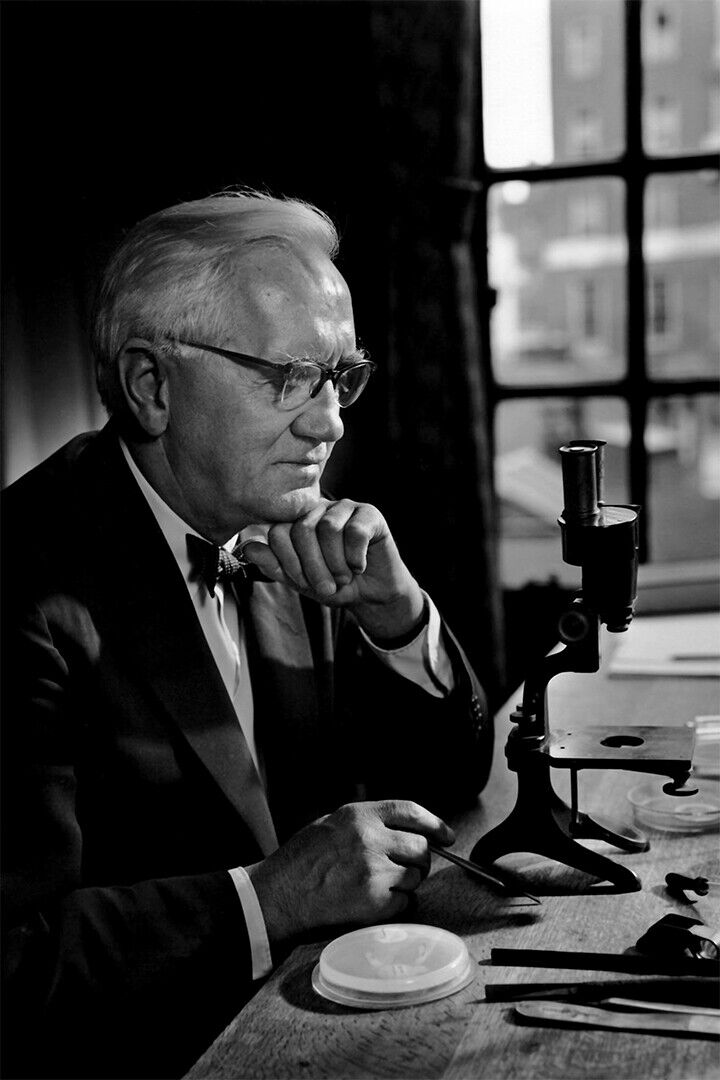 Sir Alexander Fleming Professional Biologist Poster Wall Art Print Home Wall Decor