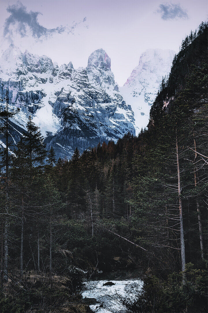 Snow Capped Mountains Near Forest Poster Wall Art Print Home Wall Decor