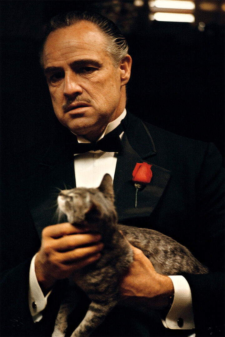 Marlon Brando In The Godfather Movie Crime Poster Wall Art Print Home Wall Decor