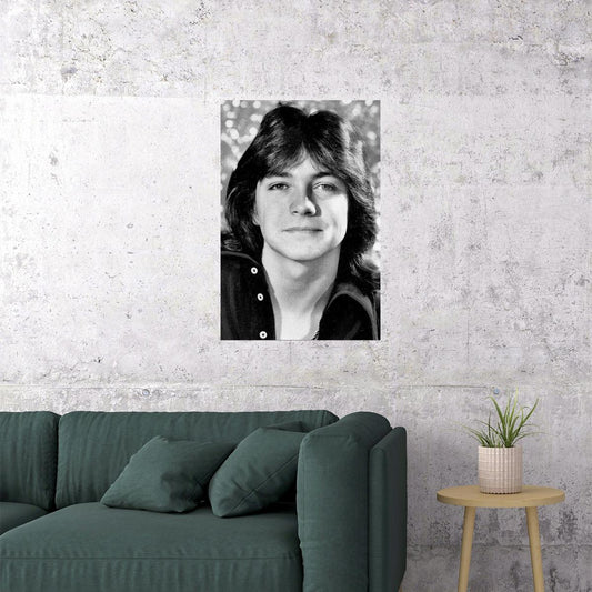 David Cassidy Smiling Actor Songwriter Musician Poster Wall Art Print Home Wall Decor