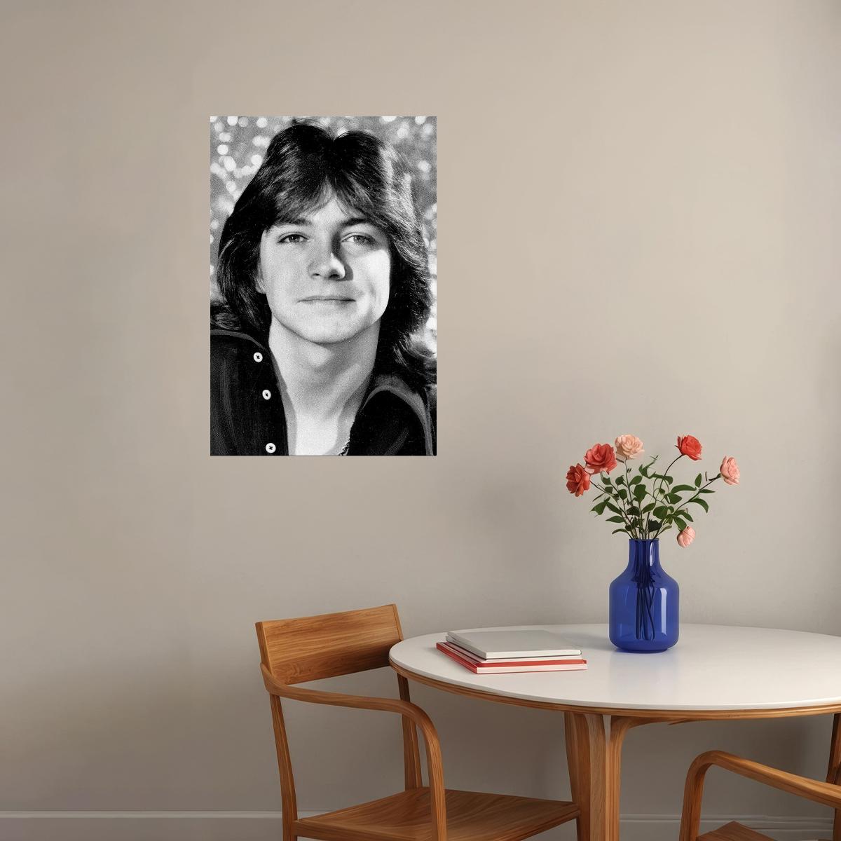 David Cassidy Smiling Actor Songwriter Musician Poster Wall Art Print Home Wall Decor